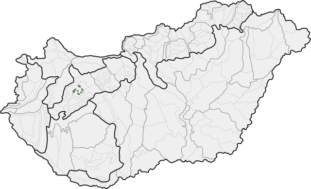 Bakonyi kismedenck